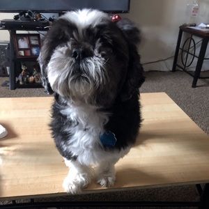 Meet your Posher, Ana